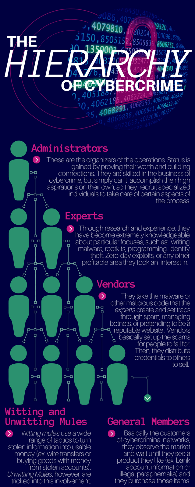 Cybercriminal Infographic Cybercriminal Infographic