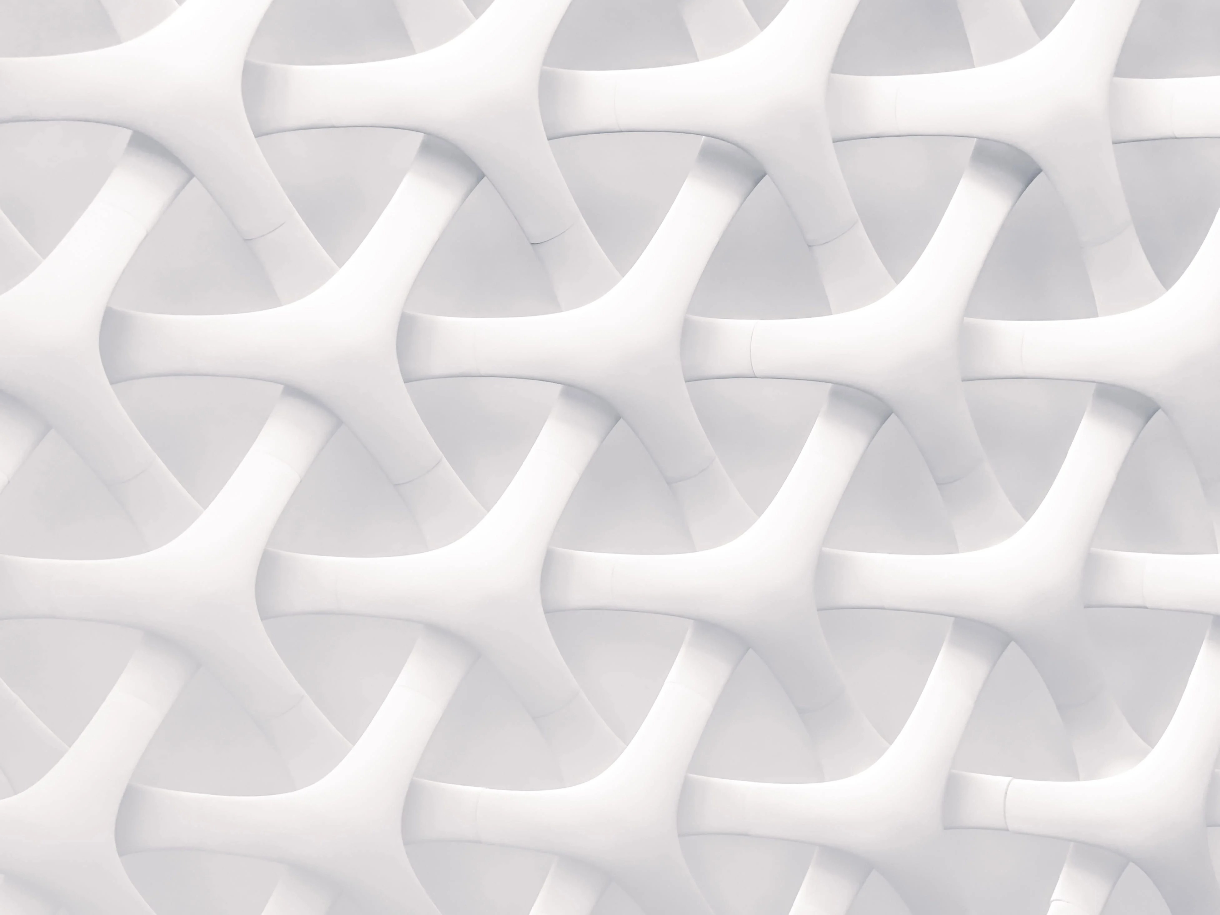 jj-ying-236821-unsplash-1