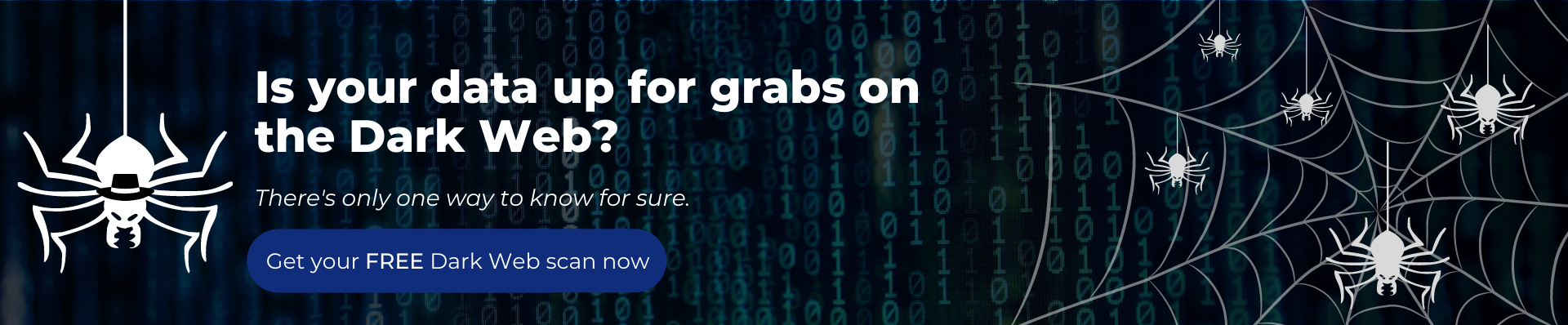 Dont be afraid of the dark--web, that is. (1)